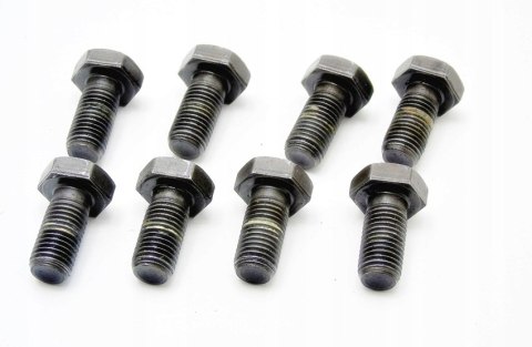 ŚRUBY KOŁA ZAMACHU 2.0 D BMW F10 F20 F30 F31 F34 ŚRUBY KOŁA ZAMACHU 2.0 D BMW F10 F20 F30 F31 F34