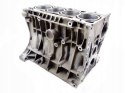 BLOK BFS 06B103019H 1.6 8V NEW BEETLE A3 BORA LEON