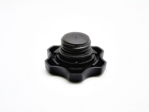 KOREK OLEJU 1.6 16V MINI ONE COOPER R50 R52 R53 KOREK OLEJU 1.6 16V MINI ONE COOPER R50 R52 R53