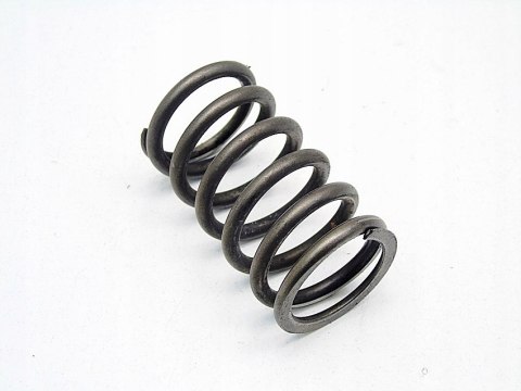 SPRĘŻYNA ZAWORU 1.9 JTD STILO BRAVO 2 147 156 DOBL SPRĘŻYNA ZAWORU 1.9 JTD STILO BRAVO 2 147 156 DOBL