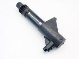 CEWKA ZAPŁONOWA 3.0 V6 C5 607 807 C6 406 C8 XFX AVANTIME LAGUNA II