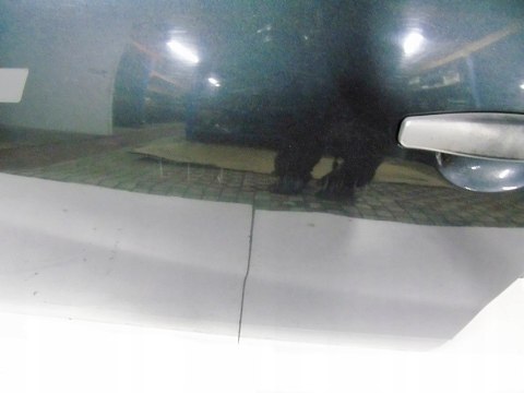 DRZWI LEWY PRZÓD DACIA SANDERO I STEPWAY DRZWI LEWY PRZÓD DACIA SANDERO I STEPWAY