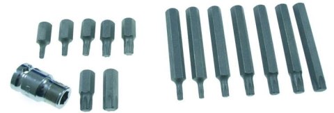 Zestaw bitów TORX, 6-kątnych 14 szt. + adapter SKLEP Zestaw bitów TORX, 6-kątnych 14 szt. + adapter SKLEP