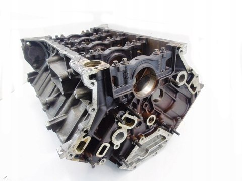 BLOK 113.960 5.0 V8 MERCEDES W220 C215 S500 CL500 BLOK 113.960 5.0 V8 MERCEDES W220 C215 S500 CL500
