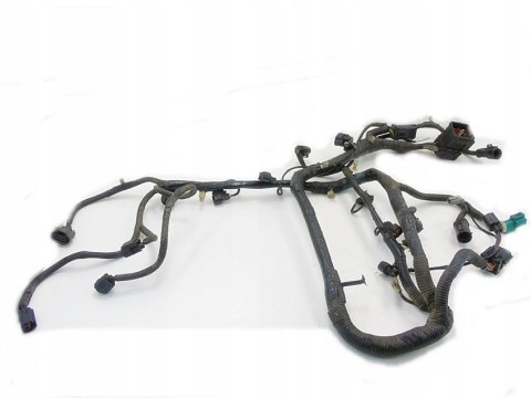 WIĄZKA KABLE SILNIKA FORD MUSTANG IV 3.8 V6 94-04 WIĄZKA KABLE SILNIKA FORD MUSTANG IV 3.8 V6 94-04