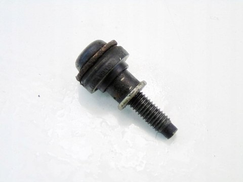 ŚRUBA POKRYWY ZAWORÓW 3.0 B AUDI A4 B6 A6 C5 A8 D3 ŚRUBA POKRYWY ZAWORÓW 3.0 B AUDI A4 B6 A6 C5 A8 D3