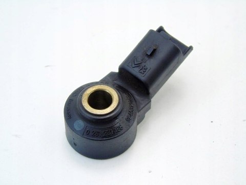 CZUJNIK STUKU 1.4 C2 C3 207 206 BIPPER 1007 NEMO CZUJNIK STUKU 1.4 C2 C3 207 206 BIPPER 1007 NEMO