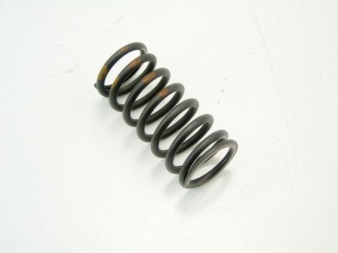 SPRĘŻYNA ZAWORU 3.0D BMW X5 X6 E90 E91 E60 E92 E61 SPRĘŻYNA ZAWORU 3.0D BMW X5 X6 E90 E91 E60 E92 E61