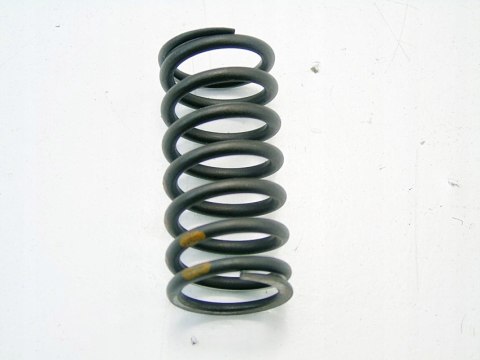 SPRĘŻYNA ZAWORU 3.0D BMW X5 X6 E90 E91 E60 E92 E61 SPRĘŻYNA ZAWORU 3.0D BMW X5 X6 E90 E91 E60 E92 E61