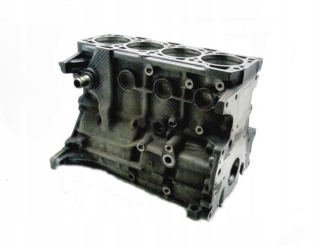 BLOK SILNIKA Z19DT 55182303 1.9 CDTI ASTRA H VECTRA C 156 147 SIGNUM ZAFIRA BLOK SILNIKA Z19DT 55182303 1.9 CDTI ASTRA H VECTRA C 156 147 SIGNUM ZAFIRA