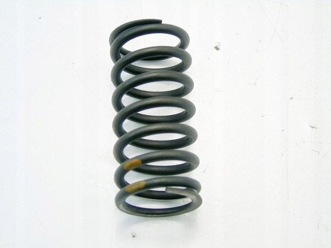 SPRĘŻYNA ZAWOROWA 3.0 D BMW X5 X6 E70 E71 E60 E90 E61 SPRĘŻYNA ZAWOROWA 3.0 D BMW X5 X6 E70 E71 E60 E90 E61