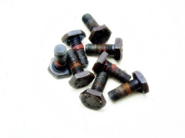 ŚRUBY KOŁA ZAMACHOWEGO 1.8 D 205 C15 ZX 305 XSARA 305