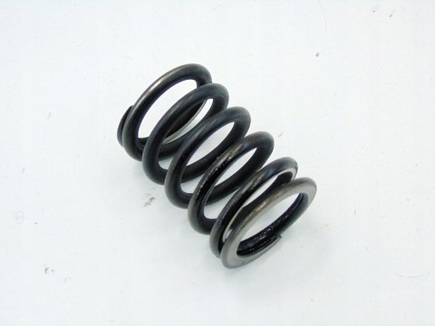 SPRĘŻYNA ZAWORU WYDECHOWEGO 2.0 20V PASSAT B5.5 AUDI A4 B6 B7 A6 C5 ALT SPRĘŻYNA ZAWORU WYDECHOWEGO 2.0 20V PASSAT B5.5 AUDI A4 B6 B7 A6 C5 ALT