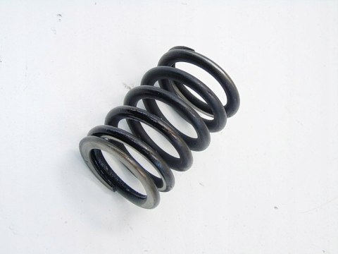 SPRĘŻYNA ZAWORU WYDECHOWEGO 2.0 20V PASSAT B5.5 AUDI A4 B6 B7 A6 C5 ALT SPRĘŻYNA ZAWORU WYDECHOWEGO 2.0 20V PASSAT B5.5 AUDI A4 B6 B7 A6 C5 ALT