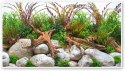 Wave A8011599 zdjęcie do terrarium River, dwustronne w blistrze, 45x100