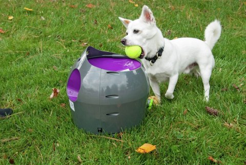 Wyrzutnia piłek dla psa PetSafe Automatic Ball Thrower Wyrzutnia piłek dla psa PetSafe Automatic Ball Thrower