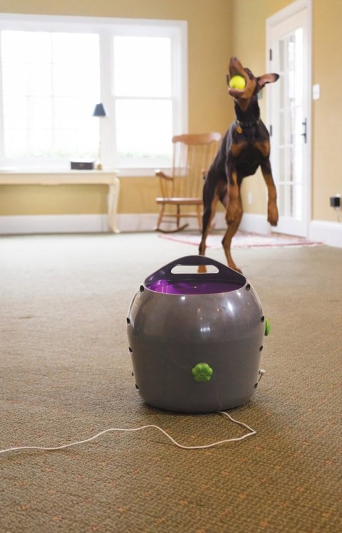 Wyrzutnia piłek dla psa PetSafe Automatic Ball Thrower Wyrzutnia piłek dla psa PetSafe Automatic Ball Thrower