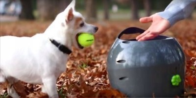 Wyrzutnia piłek dla psa PetSafe Automatic Ball Thrower Wyrzutnia piłek dla psa PetSafe Automatic Ball Thrower