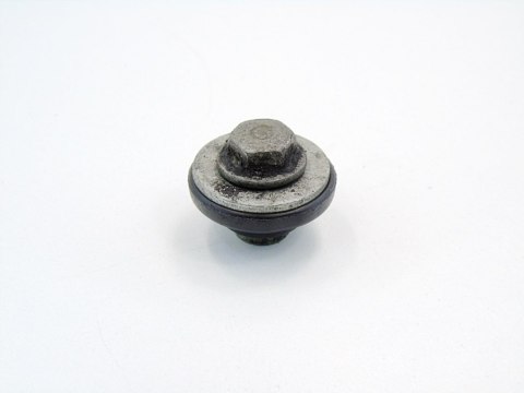 ŚRUBA NAKRĘTKA POKRYWY ZAWORÓW 2.2 2.5 I CI BMW E39 E46 E36 Z4 Z3 E85 ŚRUBA NAKRĘTKA POKRYWY ZAWORÓW 2.2 2.5 I CI BMW E39 E46 E36 Z4 Z3 E85