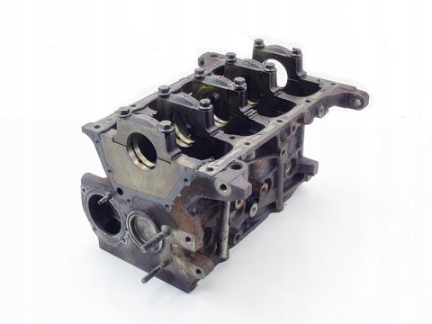 BLOK 1.4 8V GRANDE PUNTO PANDA LINEA QUBO DOBLO IDEA FIORINO MUSA 55221621 BLOK 1.4 8V GRANDE PUNTO PANDA LINEA QUBO DOBLO IDEA FIORINO MUSA 55221621