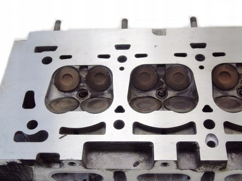 GŁOWICA WAŁKI 1.6 16V MEGANE II SCENIC II LAGUNA II MODUS CLIO 8200145259F GŁOWICA WAŁKI 1.6 16V MEGANE II SCENIC II LAGUNA II MODUS CLIO 8200145259F