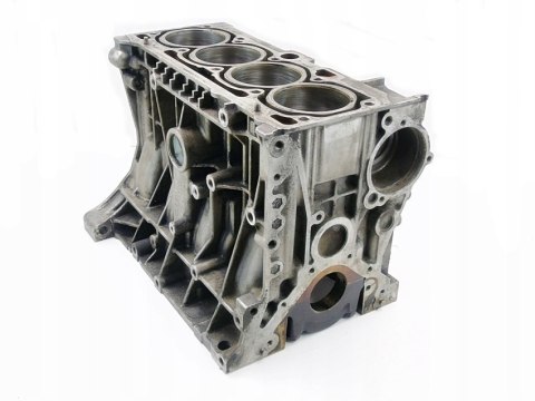BLOK SILNIKA 1.6 8V AUDI A4 B6 B7 EXEO PASSAT 06B103019H BLOK SILNIKA 1.6 8V AUDI A4 B6 B7 EXEO PASSAT 06B103019H