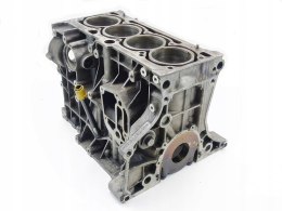 BLOK SILNIKA 1.6 8V AUDI A4 B6 B7 EXEO PASSAT 06B103019H