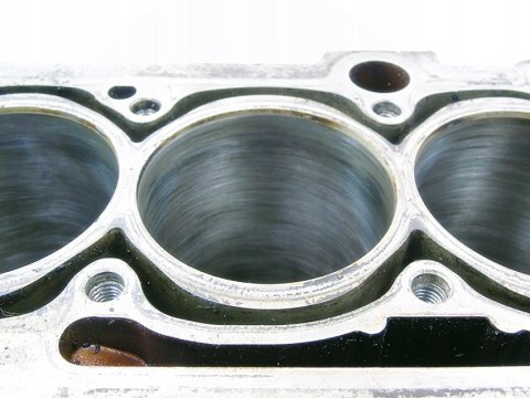 BLOK SILNIKA 1.6 8V AUDI A4 B6 B7 EXEO PASSAT 06B103019H BLOK SILNIKA 1.6 8V AUDI A4 B6 B7 EXEO PASSAT 06B103019H