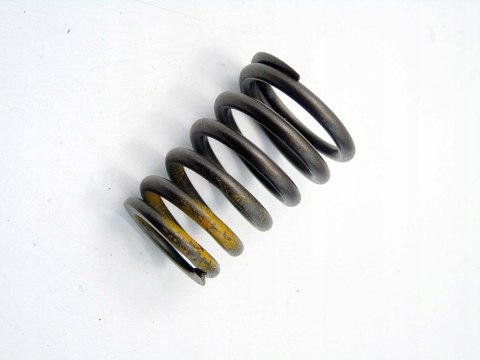 SPRĘŻYNA ZAWORU 4.2 5.0 V8 MERCEDES 124 W124 E420 S500 S420 W140 KLASA E S SPRĘŻYNA ZAWORU 4.2 5.0 V8 MERCEDES 124 W124 E420 S500 S420 W140 KLASA E S