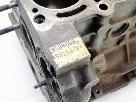 BLOK SILNIKA 1.2 8V GRANDE PUNTO EVO PANDA 500 KA YPSILON 199A4000 55221621 BLOK SILNIKA 1.2 8V GRANDE PUNTO EVO PANDA 500 KA YPSILON 199A4000 55221621