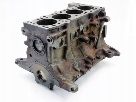 BLOK SILNIKA 1.2 8V GRANDE PUNTO EVO PANDA 500 KA YPSILON 199A4000 55221621 BLOK SILNIKA 1.2 8V GRANDE PUNTO EVO PANDA 500 KA YPSILON 199A4000 55221621