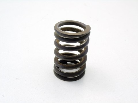SPRĘŻYNA ZAWORU GŁOWICY 1.2 8V ENERGY CLIO I RAPID RENAULT 19 91-99 SPRĘŻYNA ZAWORU GŁOWICY 1.2 8V ENERGY CLIO I RAPID RENAULT 19 91-99