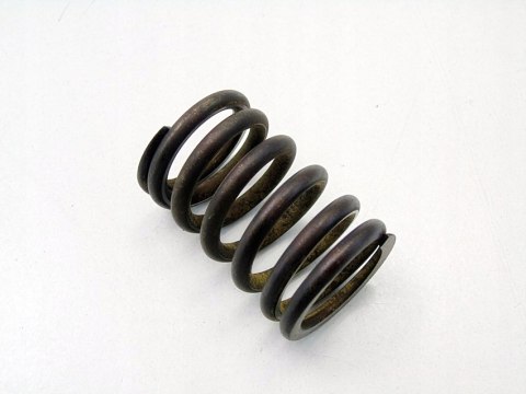 SPRĘŻYNA ZAWORU GŁOWICY 1.2 8V ENERGY CLIO I RAPID RENAULT 19 91-99 SPRĘŻYNA ZAWORU GŁOWICY 1.2 8V ENERGY CLIO I RAPID RENAULT 19 91-99