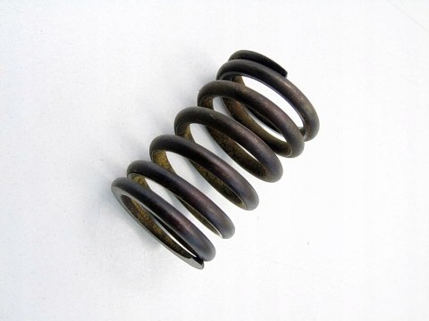 SPRĘŻYNA ZAWORU GŁOWICY 1.2 8V ENERGY CLIO I RAPID RENAULT 19 91-99 SPRĘŻYNA ZAWORU GŁOWICY 1.2 8V ENERGY CLIO I RAPID RENAULT 19 91-99