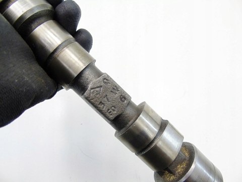 WAŁEK ROZRZĄDU GŁOWICY 1.2 8V ENERGY CLIO I RAPID RENAULT 19 91-99 WAŁEK ROZRZĄDU GŁOWICY 1.2 8V ENERGY CLIO I RAPID RENAULT 19 91-99