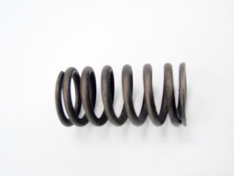SPRĘŻYNA ZAWORU 1.6 TDCI C-MAX FOCUS 2 C30 V50 S40 S80 MINI 3008 407 307 C5 SPRĘŻYNA ZAWORU 1.6 TDCI C-MAX FOCUS 2 C30 V50 S40 S80 MINI 3008 407 307 C5