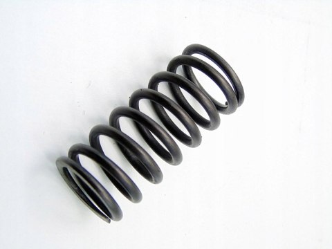 SPRĘŻYNA ZAWORU 2.0 D BMW X3 E46 E90 E91 E60 E61 E87 E91 E83 M47D20 520D SPRĘŻYNA ZAWORU 2.0 D BMW X3 E46 E90 E91 E60 E61 E87 E91 E83 M47D20 520D