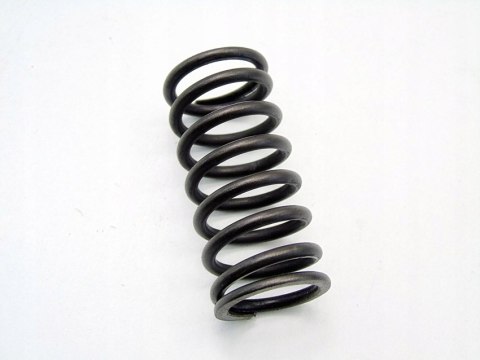 SPRĘŻYNA ZAWORU 2.0 D BMW X3 E46 E90 E91 E60 E61 E87 E91 E83 M47D20 520D SPRĘŻYNA ZAWORU 2.0 D BMW X3 E46 E90 E91 E60 E61 E87 E91 E83 M47D20 520D