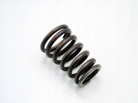 SPRĘŻYNA ZAWORU GŁOWICY 1.9 1.8 BMW E36 E46 Z3 316 318 CI I M43B19 SPRĘŻYNA ZAWORU GŁOWICY 1.9 1.8 BMW E36 E46 Z3 316 318 CI I M43B19
