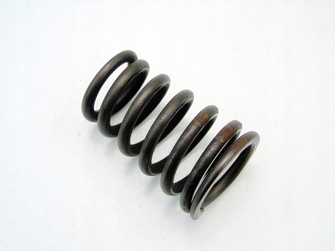 SPRĘŻYNA ZAWORU GŁOWICY 1.9 1.8 BMW E36 E46 Z3 316 318 CI I M43B19 SPRĘŻYNA ZAWORU GŁOWICY 1.9 1.8 BMW E36 E46 Z3 316 318 CI I M43B19