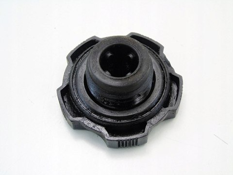 KOREK WLEWU OLEJU SILNIKA 1.2 8V S-TEC CHEVROLET KALOS AVEO B12S3 LY4 KOREK WLEWU OLEJU SILNIKA 1.2 8V S-TEC CHEVROLET KALOS AVEO B12S3 LY4