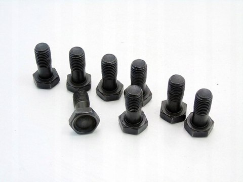 ŚRUBY KOŁA DWUMASOWEGO 3.0 D E39 E46 E38 BMW 330D 530D X5 730D E53 ŚRUBY KOŁA DWUMASOWEGO 3.0 D E39 E46 E38 BMW 330D 530D X5 730D E53