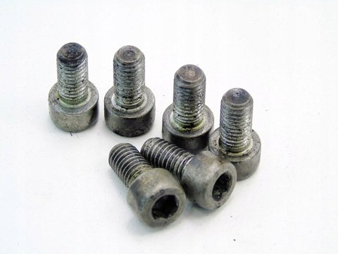 ŚRUBY DOCISKU SPRZĘGŁA 2.0 D BMW E46 E90 E60 E61 E87 E91 E83 X3 ŚRUBY DOCISKU SPRZĘGŁA 2.0 D BMW E46 E90 E60 E61 E87 E91 E83 X3