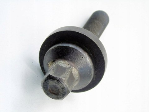 ŚRUBA WAŁU KORBOWEGO 2.0 D BMW E46 E90 E60 E61 E87 E91 E83 X3 204D4 M47D20 ŚRUBA WAŁU KORBOWEGO 2.0 D BMW E46 E90 E60 E61 E87 E91 E83 X3 204D4 M47D20