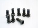 ŚRUBY KOŁA DWUMASOWEGO 2.0 D BMW E46 E90 E60 E61 E87 E91 E83 X3 204D4