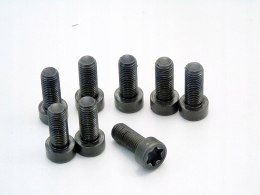 ŚRUBY KOŁA DWUMASOWEGO 2.0 D BMW E46 E90 E60 E61 E87 E91 E83 X3 204D4
