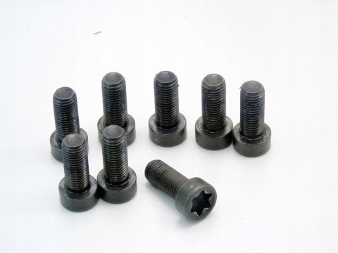 ŚRUBY KOŁA DWUMASOWEGO 2.0 D BMW E46 E90 E60 E61 E87 E91 E83 X3 204D4 ŚRUBY KOŁA DWUMASOWEGO 2.0 D BMW E46 E90 E60 E61 E87 E91 E83 X3 204D4