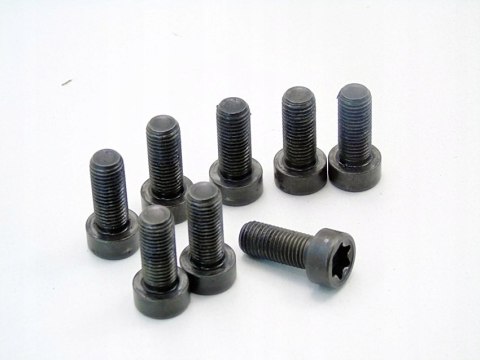 ŚRUBY KOŁA DWUMASOWEGO 2.0 D BMW E46 E90 E60 E61 E87 E91 E83 X3 204D4 ŚRUBY KOŁA DWUMASOWEGO 2.0 D BMW E46 E90 E60 E61 E87 E91 E83 X3 204D4