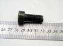 ŚRUBY KOŁA DWUMASOWEGO 2.0 D BMW E46 E90 E60 E61 E87 E91 E83 X3 204D4