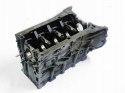 BLOK SILNIKA R6110111201 2.2 CDI MERCEDES W203 S203 CL203 VITO SPRINTER